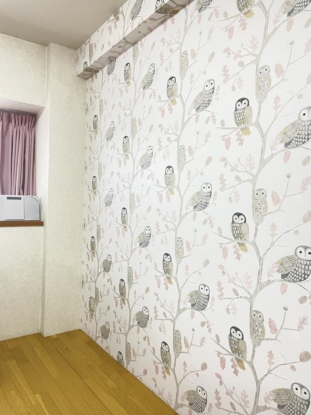 愛らしいフクロウ達